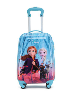 Frozen Luggage