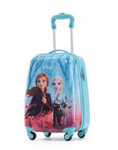 Frozen Luggage