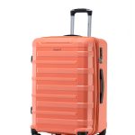 Warrior Medium Suitcase